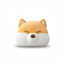 Load image into Gallery viewer, ตุ๊กตาหมอนอิง DC005