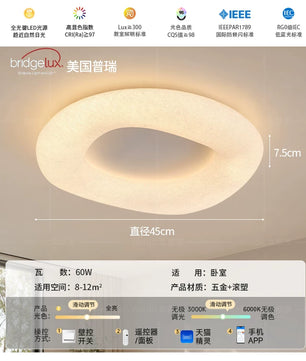 法式奶油风蚕丝卧室吸顶灯简约现代创意高亮护眼儿童房书房主卧灯 - 蚕丝白-46CM-无极天猫/带遥控【普瑞光源RA97】