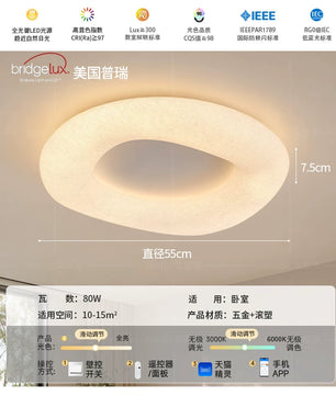 法式奶油风蚕丝卧室吸顶灯简约现代创意高亮护眼儿童房书房主卧灯 - 蚕丝白-58CM-无极天猫/带遥控【普瑞光源RA97】