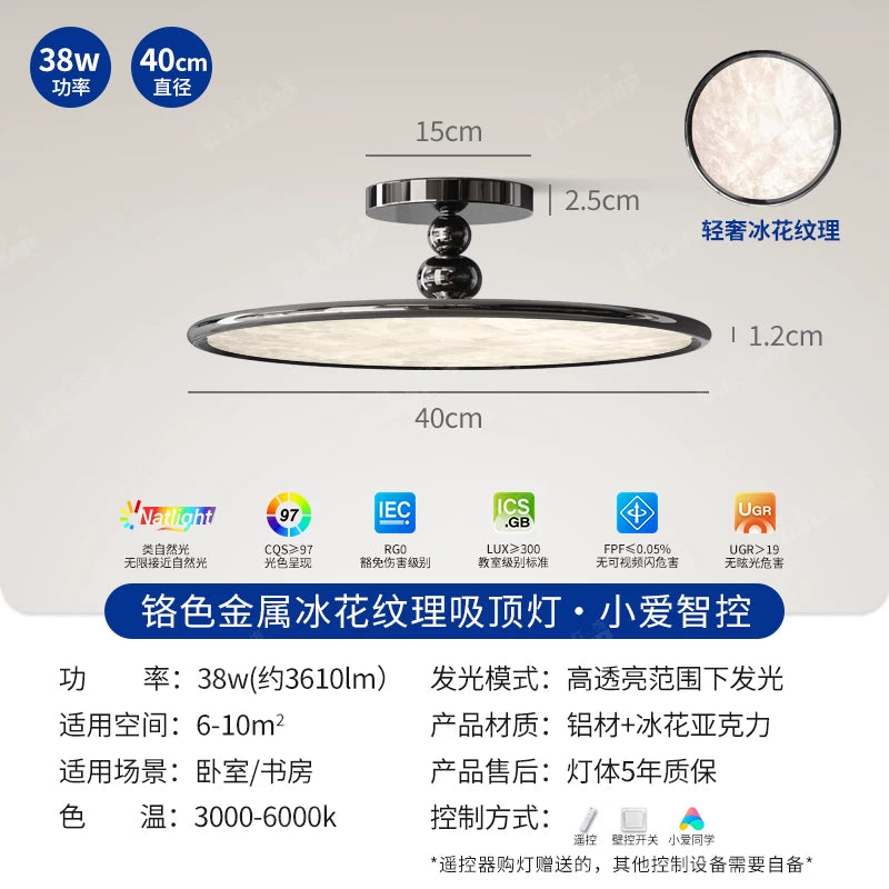 2026新款意式轻奢包豪斯卧室灯吸顶灯现代简约美式高级感护眼灯具 - 黑色薄款-全光谱【40CM】小爱同学