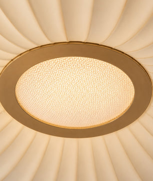 SOLEN-CL-029