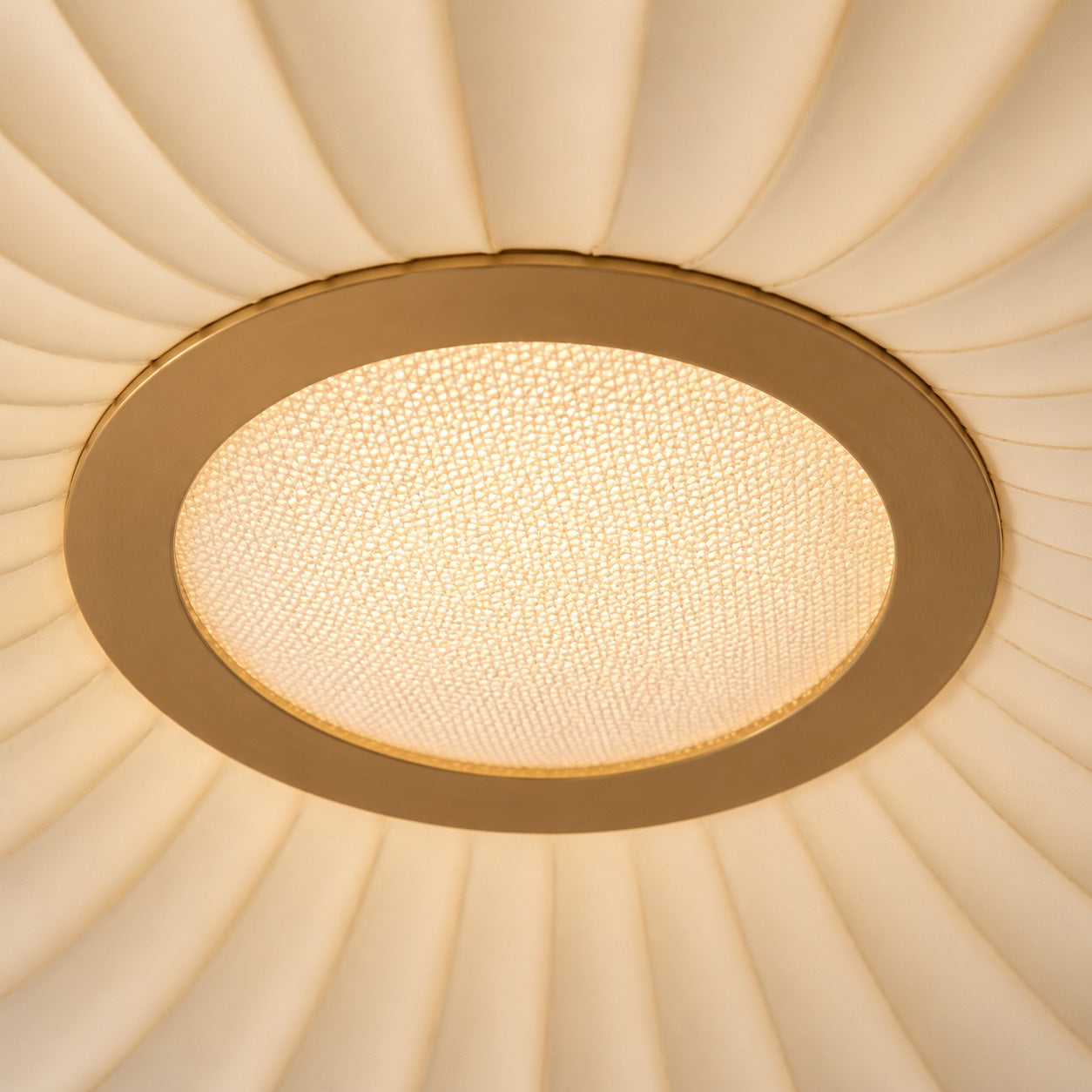 SOLEN-CL-029