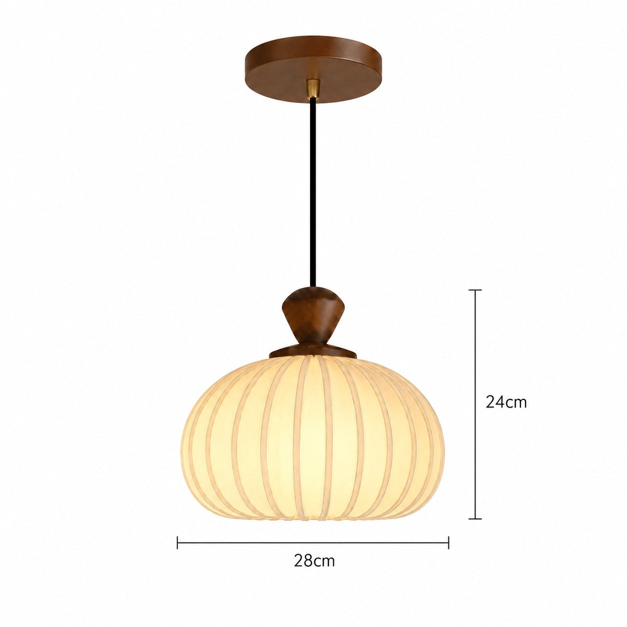 SOLEN-CL-029