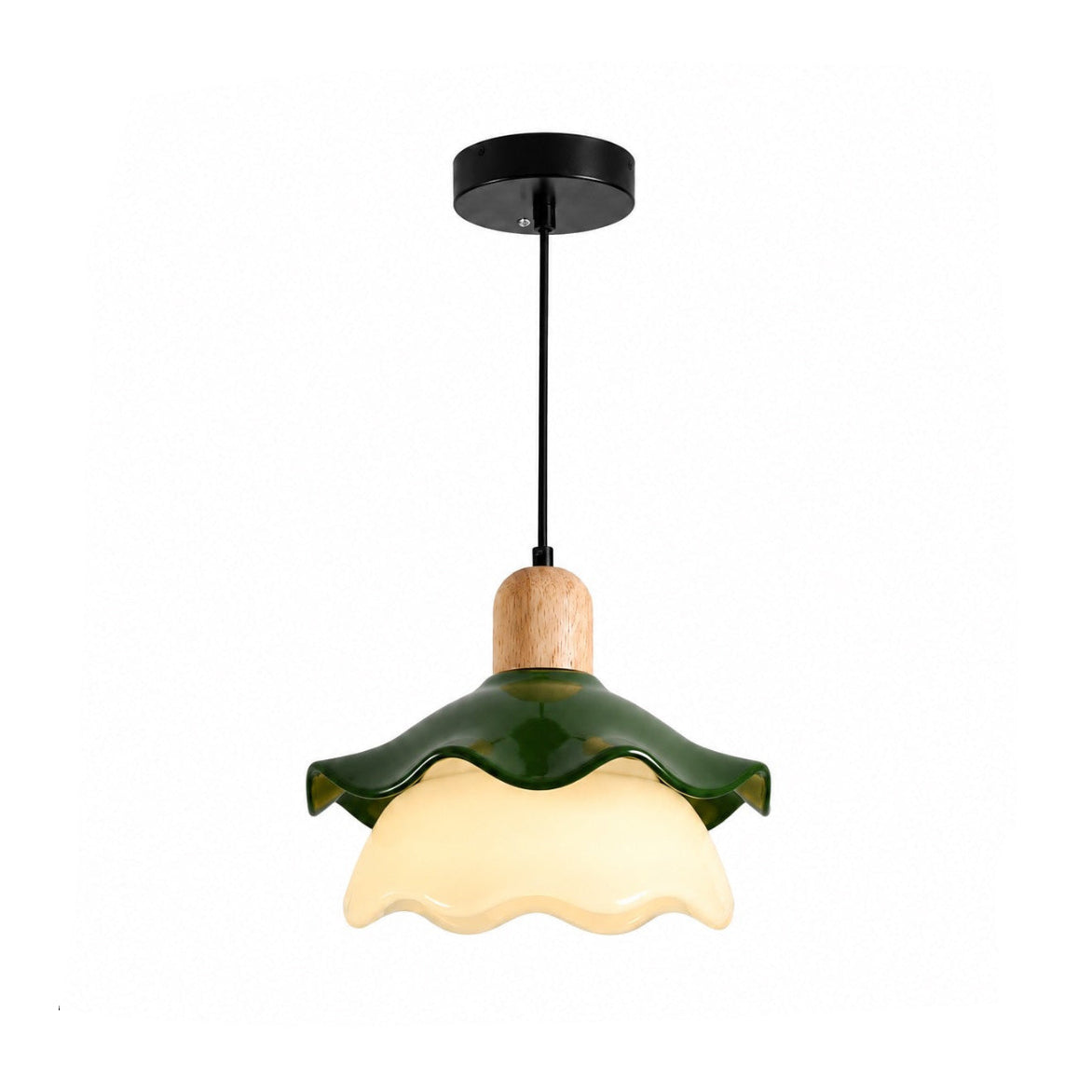 OLLO-CL-037