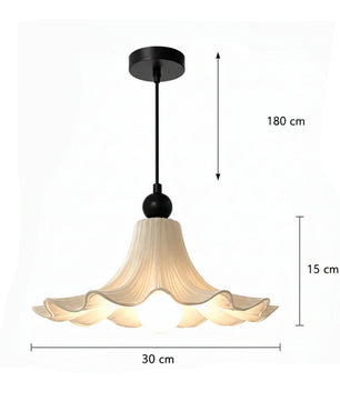 MOMO-CL-039
