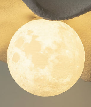 SUN-CL-023